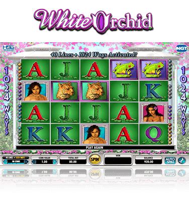 White Orchid > Play for Free + Real Money Offer .